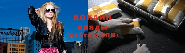 МДПВ Абаза