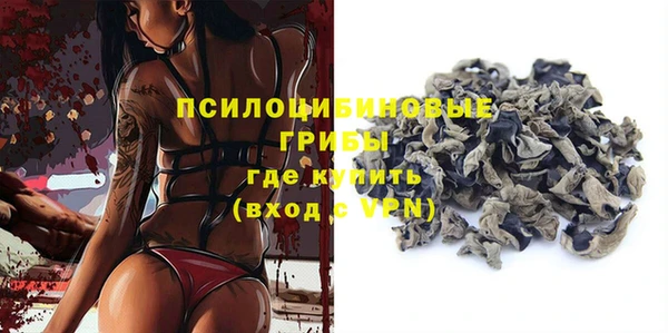 ГАЛЛЮЦИНОГЕННЫЕ ГРИБЫ Абдулино