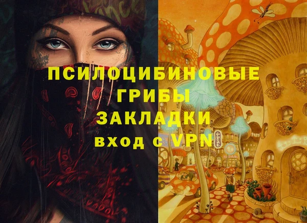 МДПВ Абаза