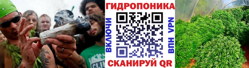 Шишки марихуана Amnesia  закладки  Новотитаровская 